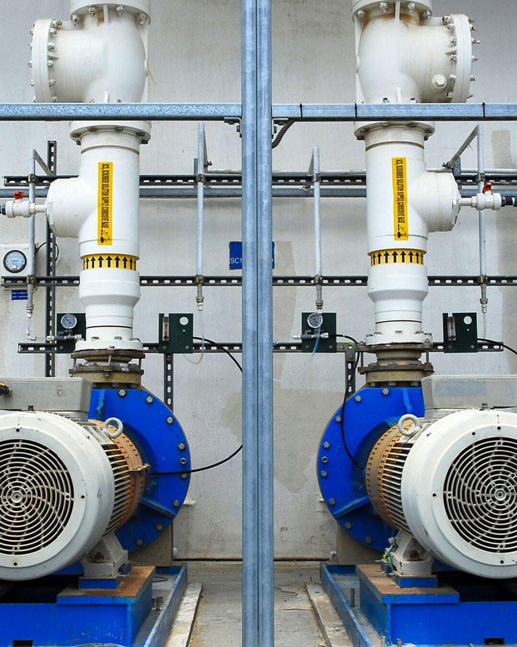 Motor